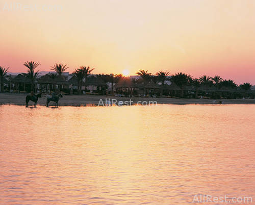 Cataract Marsa Alam Resort 10